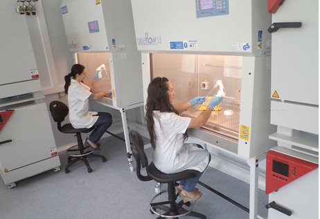 CELL CULTURE LABORATORY