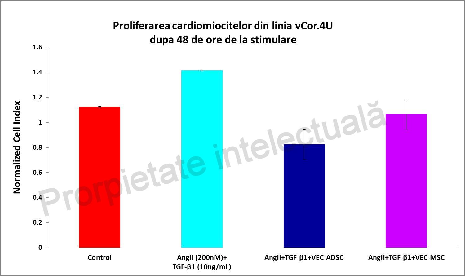 Poza 13